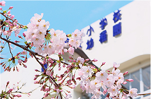 小学校受験情報